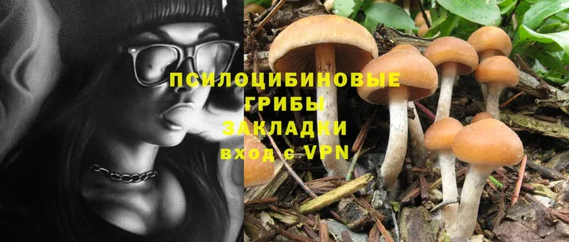 Галлюциногенные грибы MAGIC MUSHROOMS  гидра как зайти  Каневская  продажа наркотиков 